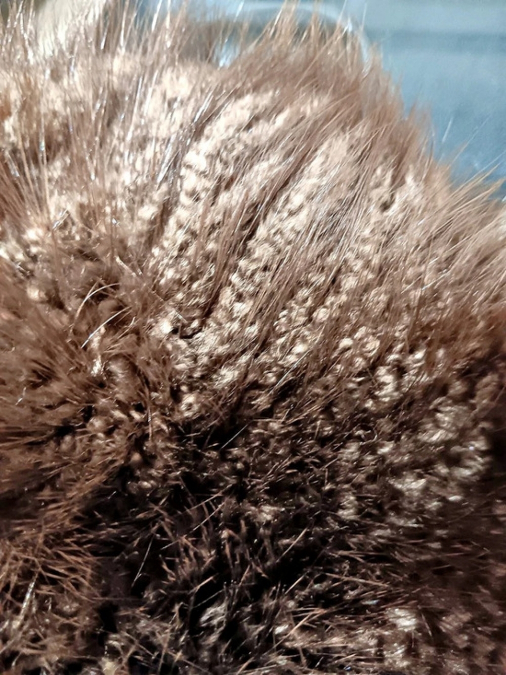 Arctic Canada Collection Brown Fur Hat - Picture 5 of 5